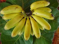 Main de bananes